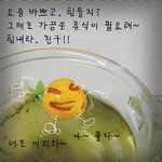 태극<b>전사</b>를 연상시키는 오징어땅콩들 표정 ㅋㅋㅋ