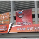 사직구장에 <b>2ne1</b> 떴다!!!