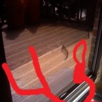 (인증샷有)방금! 저희집에 <b>도둑</b>이 들었습니다.