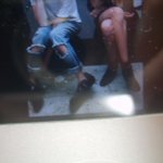 <b>리폼</b>의 신