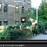 외발<b>자전</b>거 타던 캐빈..결국은..아우!! 그러니깐 조심하라고