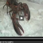자는 친구 <b>침대</b>에 랍스타 집어넣는 엽기 동영상
