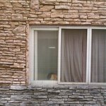 사진有)자취하는 여대생 <b>창문</b>열고 놀랬어요ㅠ,ㅠ