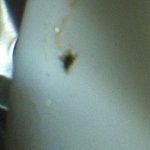 ㅈㅅㅂ 샤브샤브 명<b>동점</b>이럴거니 ? 사진 有