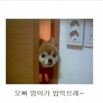 ★ 이거보고 웃는 <b>사람</b> ~ 내 <b>팬</b> 하는거다. ★