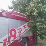 나무에 갇혀 지낸 30분!!!