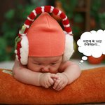 16강에 대한 생후4개월 신생아의 <b>투지</b>