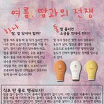 여름, 땀과의 전쟁에서 <b>승리</b>하는 방법!