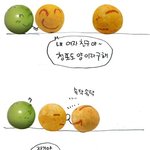 과일<b>안주</b>는 안돼! - 오징어땅콩의 슬픈 사랑