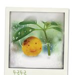 두근두근! 오징어<b>땅콩</b>같은 설렘으로 축구경기 기다리기!