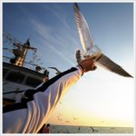 신입사원1년차 저희 회사 야유회 이야기입니다.