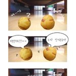 오징어 <b>땅콩</b>에게 로봇청소기란?