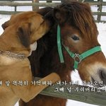 눈 <b>한</b>번 마주쳤다는 이유로 <b>욕</b> 먹었네요