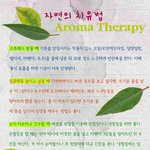 아로마 테라피로 풀수 있는 자연 <b>치유법</b>