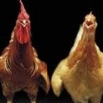 너무너무 <b>소중</b>한 저희 가족입니다..
