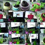 만원의 행복-씨앗심기-스위트 <b>바질</b>,레몬밤,로즈마리,로켓 셀러드 윈터...