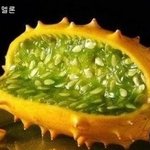 먹어본 사람 거의 못본 <b>과일</b>들