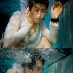 따라<b>해선</b> 안될 수중촬영의 결과..