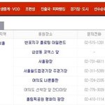 2010남아공 월드컵 핫 이슈 <b>best</b>4 !!!