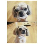 톡커님들덕에 우리 웃자 찾았습니다~!!!!!