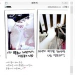 무서우신 나의 식인 자전거 (사진 有)