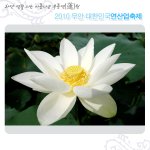 연꽃 피는 아름다운 무릉연(蓮)원, 2010 무안 대한민국<b>연산</b>업축제