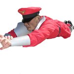 한국에 나타난 바이슨