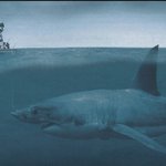 내일 입대하는 사람의 현재심리.<b>jpeg</b>