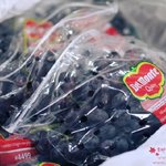 올 여름 살과의 전쟁을 시작한다 !!