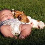 가장 믿음직한 <b>보모</b>