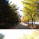 2010 <b>송하</b>비결의 鎬京將軍 木卜將軍 萬國聖人은 모두 정도령이다...