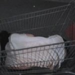 [사진有]왕카를 아세요?