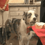 ㅋㅋ친구가 남자소개를 받았는데