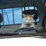 버스에서 있었던일 (엄습하는 <b>챙피</b>함 )ㅋㅋ