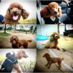 우리 애기 찾아주세요 !!!