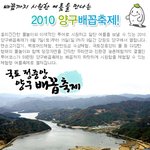 배꼽까지 시원한 여름을 만나는 2010 <b>양구</b>배꼽축제!