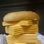 <b>입</b>에서 <b>똥내</b>가.. (사진有)