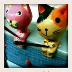 아이폰 대박 어플 소개 - 폴라로이드 효과 polarize