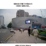 고양이 은비를 추모하며... <b>동물</b>보호법 강화시위에 다녀 왔습니다