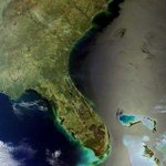 멕시코만 원유 유출사건. 벌써 몇달이 흘렀지만-