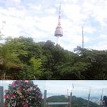 폐기<b>처분</b> 된 남산의 사랑의 자물쇠