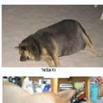 바다의 <b>왕자</b> 박명수 치킨먹다 조류독감걸려 ...