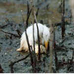 잊고 계십니까?