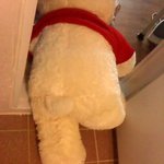 (사진有)문방구에서 파는 500원짜리 <b>아이스팩</b> 터져본적 있으세요...