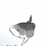 사진有! 4<b>차원</b> 내친구가 개복치뉴스보고 그린 만화