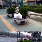 <b>화분</b>을 침대삼아 주무시던 분을 보았어요.