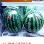 세상에 이런 <b>수박</b>도 있군요!