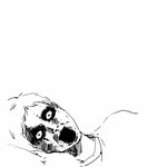 원숭이와 싸운 내남친