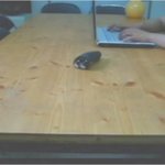 (사진有) 첨단과학의 결정체!! 전기면도기 공중부양 시키기~!