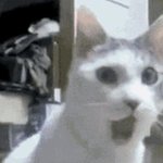 내 인생의 버라이어티한 일들